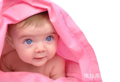 北京正規的月嫂公司