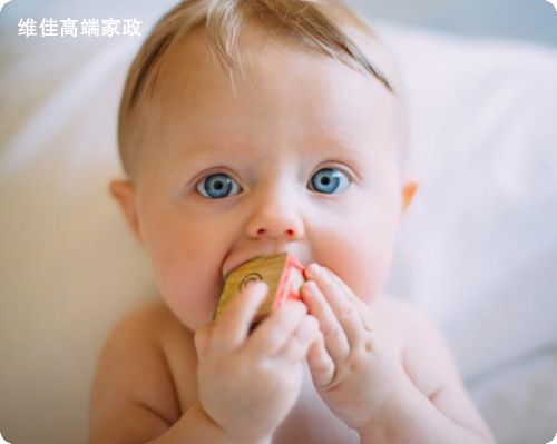 北京正規的月嫂公司