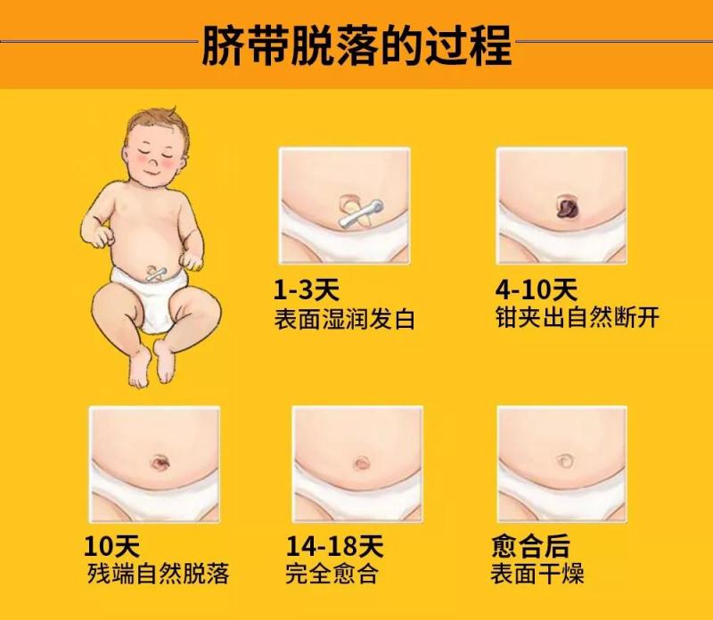 北京正規的月嫂公司