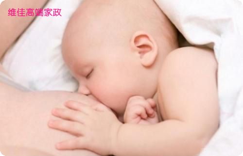 北京正規的月嫂公司